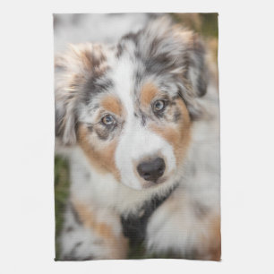 Linge De Cuisine Animaux de bébés cutest Australian Shepherd Pupp