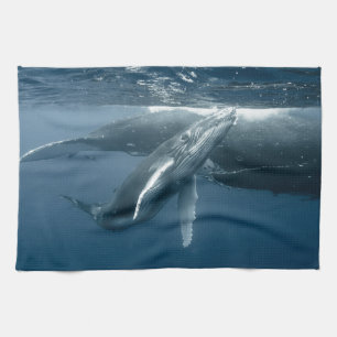 Linge De Cuisine Animaux de bébés cutest Calf de baleine à bosse