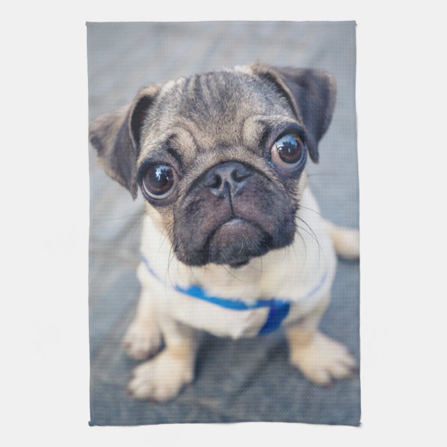 Linge De Cuisine Animaux de bébés cutest | Carlin bébé (Vertical)