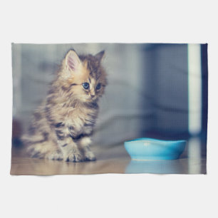 Linge De Cuisine Animaux de bébés cutest Chaton persan aux yeux b