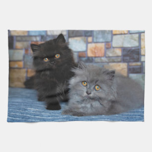 Linge De Cuisine Animaux de bébés cutest   Chatons persans sur couv