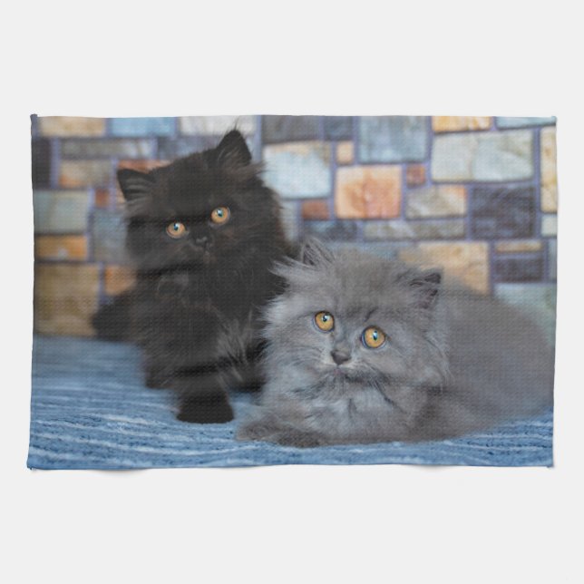 Linge De Cuisine Animaux de bébés cutest | Chatons persans sur couv (Horizontal)