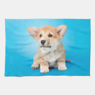Linge De Cuisine Animaux de bébés cutest Chiot de Corgi en bleu