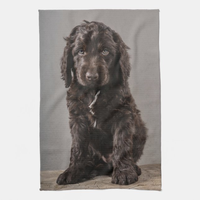 Linge De Cuisine Animaux de bébés cutest | Cockapoo Puppy (Vertical)