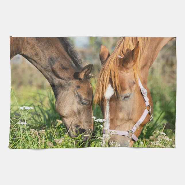 Linge De Cuisine Animaux de bébés cutest | Colt à cheval (Horizontal)