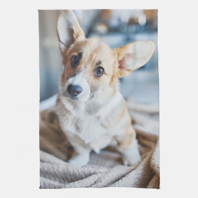 Linge De Cuisine Animaux de bébés cutest | Corgi Head Tilt (Vertical)