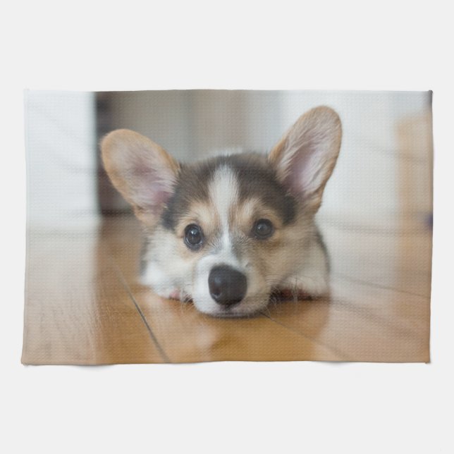 Linge De Cuisine Animaux de bébés cutest | Corgi Puppy (Horizontal)