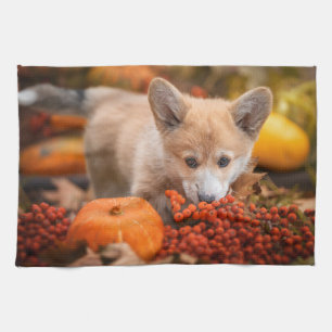 Linge De Cuisine Animaux de bébés cutest   Corgi Puppy en automne