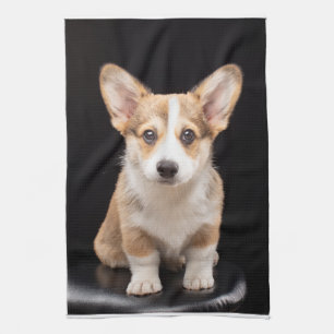Linge De Cuisine Animaux de bébés cutest Corgi Puppy Standing Hau