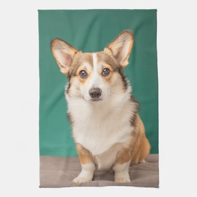 Linge De Cuisine Animaux de bébés cutest | Corgi sur Turquoise (Vertical)