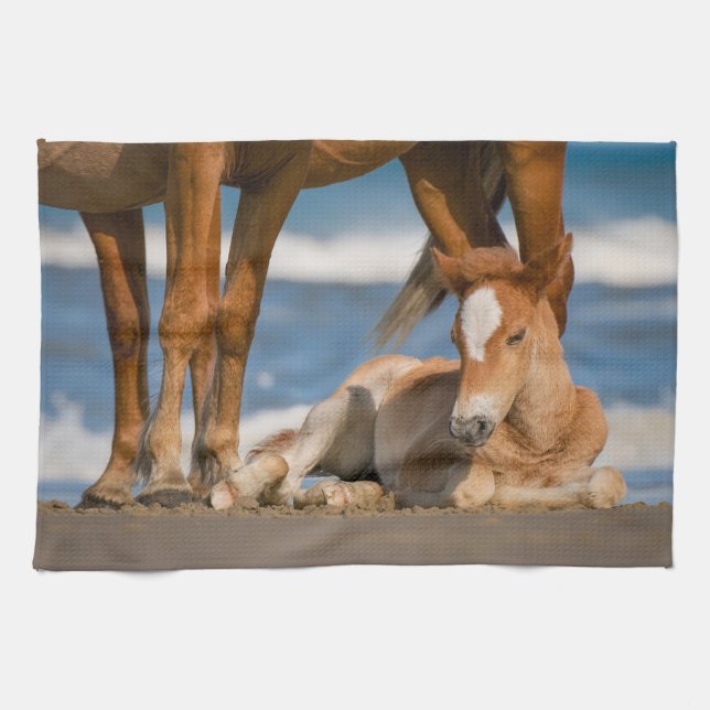 Linge De Cuisine Animaux de bébés cutest | Corolla nouvellement née (Horizontal)