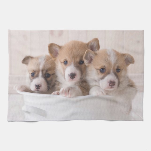 Linge De Cuisine Animaux de bébés cutest | Cute Corgi Chipies dans  (Horizontal)