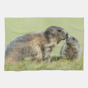Linge De Cuisine Animaux de bébés cutest   Famille des marmottes al