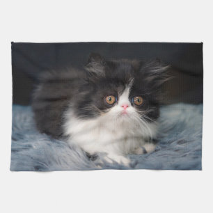 Linge De Cuisine Animaux de bébés cutest   Fluffy B&W Kitten