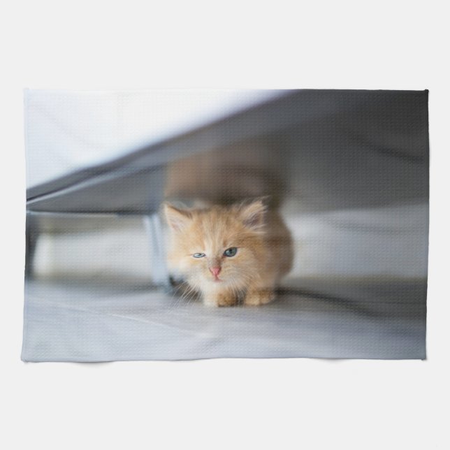 Linge De Cuisine Animaux de bébés cutest | Fluffy Orange Kitten (Horizontal)