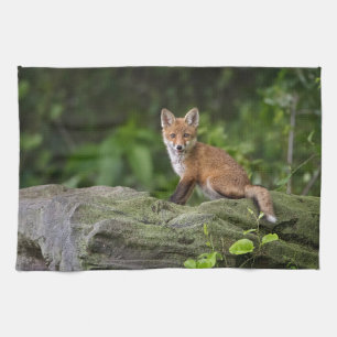 Linge De Cuisine Animaux de bébés cutest Foxy Smile
