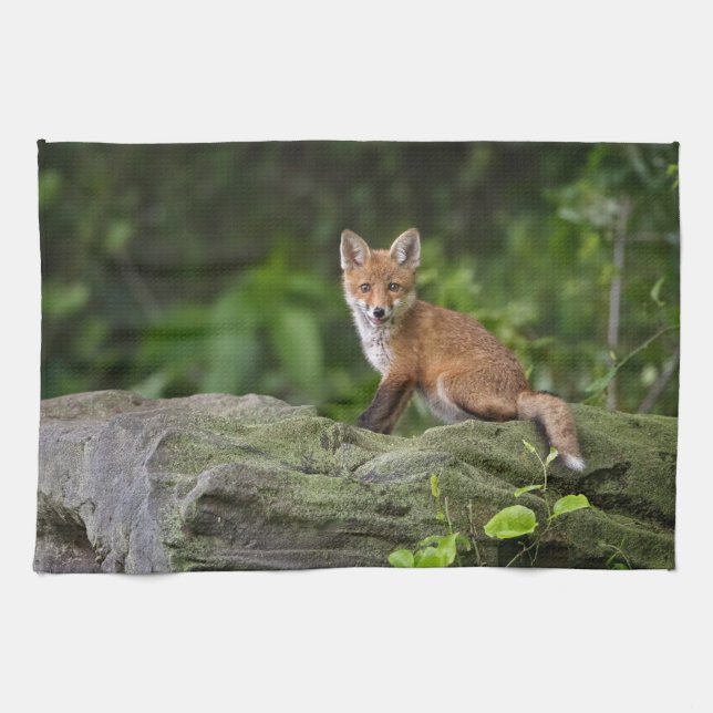 Linge De Cuisine Animaux de bébés cutest | Foxy Smile (Horizontal)
