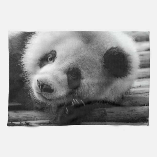 Linge De Cuisine Animaux de bébés cutest | Giant Panda Bear Cub (Horizontal)