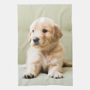 Linge De Cuisine Animaux de bébés cutest Golden Retriever Puppy