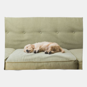 Linge De Cuisine Animaux de bébés cutest Golden Retriever Puppy 2