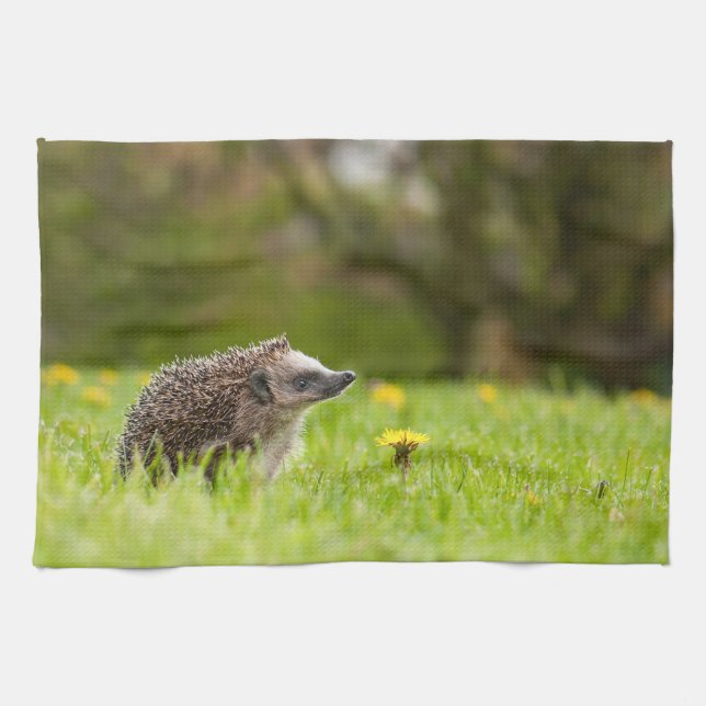 Linge De Cuisine Animaux de bébés cutest | Hérisson européen (Horizontal)