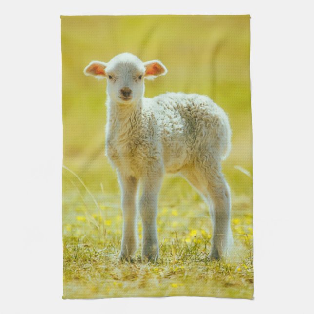Linge De Cuisine Animaux de bébés cutest | Jeune mouton (Vertical)