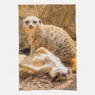 Linge De Cuisine Animaux de bébés cutest Meerkats joueurs