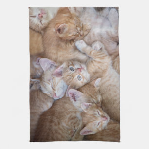 Linge De Cuisine Animaux de bébés cutest Orange Kitten Pile