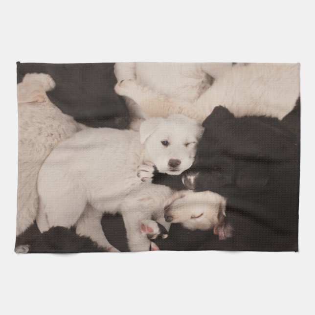 Linge De Cuisine Animaux de bébés cutest | Pile de marionnettes (Horizontal)