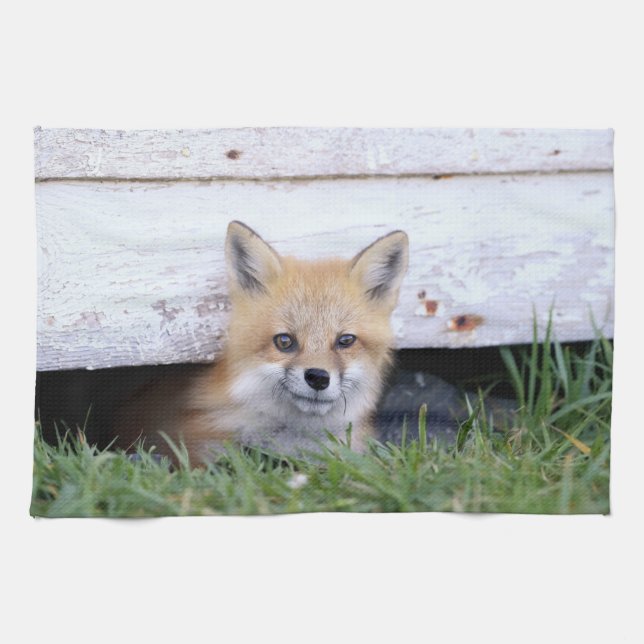 Linge De Cuisine Animaux de bébés cutest | Red Fox Kit Peeking (Horizontal)