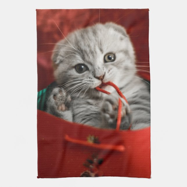 Linge De Cuisine Animaux de bébés cutest | Scottish Fold Kitten (Vertical)