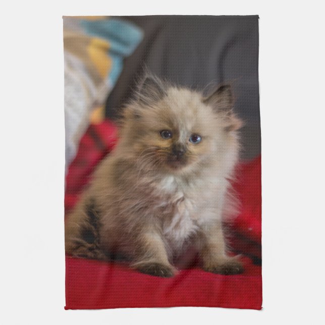 Linge De Cuisine Animaux de bébés cutest | Siamese Kitten (Vertical)