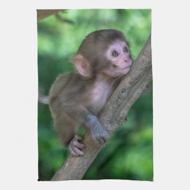 Linge De Cuisine Animaux de bébés cutest | Singe bébé (Vertical)