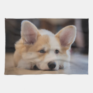 Linge De Cuisine Animaux de bébés cutest   Sleepy Corgi Puppy