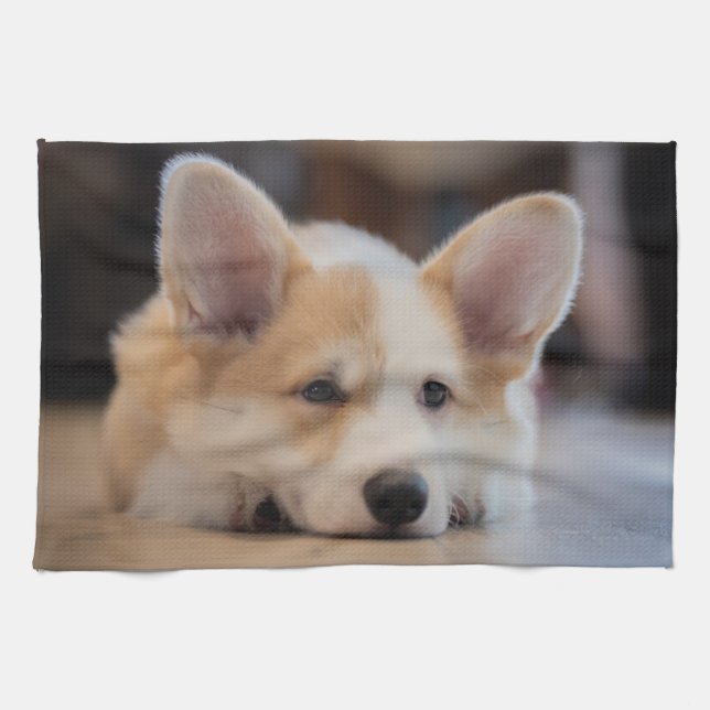 Linge De Cuisine Animaux de bébés cutest | Sleepy Corgi Puppy (Horizontal)
