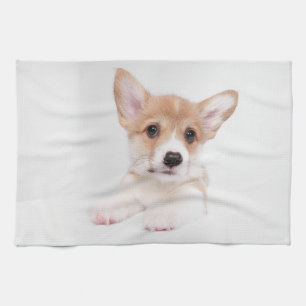 Linge De Cuisine Animaux de bébés cutest   Sweet Baby Corgi
