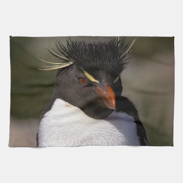 Linge De Cuisine Antarctique, îles sub-antarctiques, Sud 5 (Horizontal)