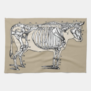 Linge De Cuisine Antique Cow Skeleton Bones
