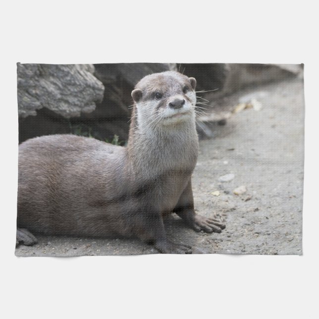 Linge De Cuisine Aonyx cinerea (Horizontal)