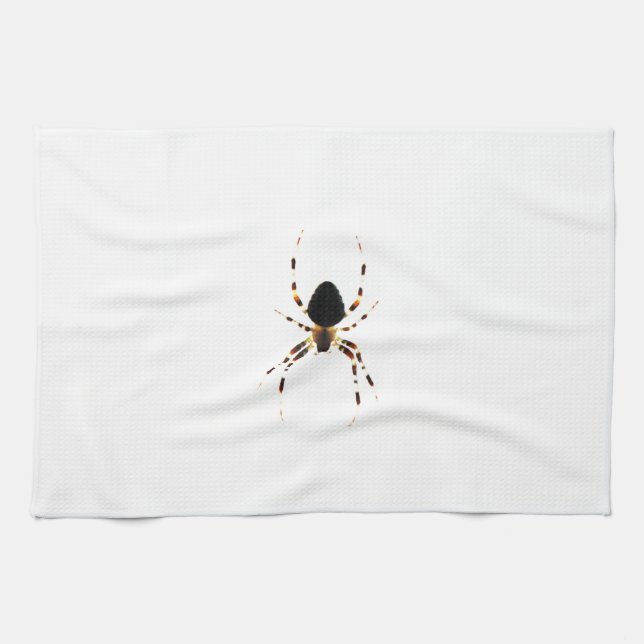 Linge De Cuisine Araignée ktcnm (Horizontal)
