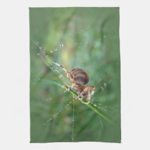 Linge De Cuisine Araneus - Orb Weaver Spider
