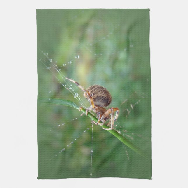 Linge De Cuisine Araneus - Orb Weaver Spider (Vertical)