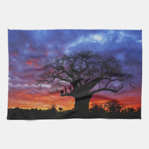 Linge De Cuisine arbre baobab africain, Adansonia digitata, 2