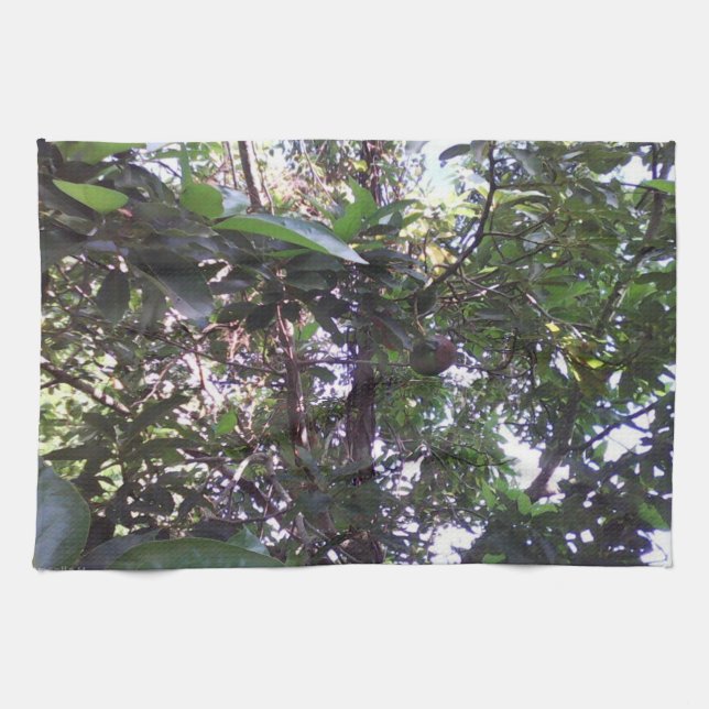 Linge De Cuisine Arbre d'avocat (Horizontal)