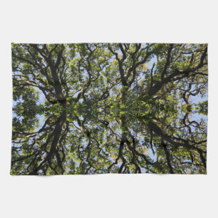 Linge De Cuisine Arbres image miroir