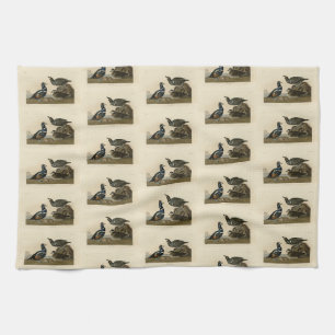 Linge De Cuisine Arlequin plongeur - de Audubon's Birds of America
