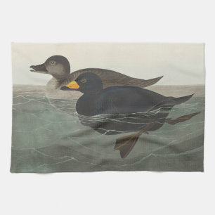 Linge De Cuisine Art vintage de canard Scoter d'Amérique d'Audubon