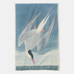 Linge De Cuisine Art vintage d'oiseau côtier Sterne arctique d'Audu