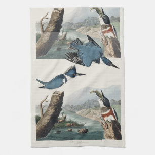 Linge De Cuisine Art vintage du Martin-pêcheur à gorge blanche d'Au