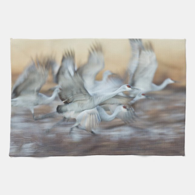 Linge De Cuisine Ascenseur au large des grues de Sandhill (Horizontal)